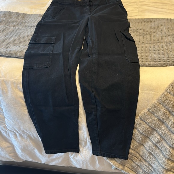 Aritzia wilfred cargos - Picture 3 of 3
